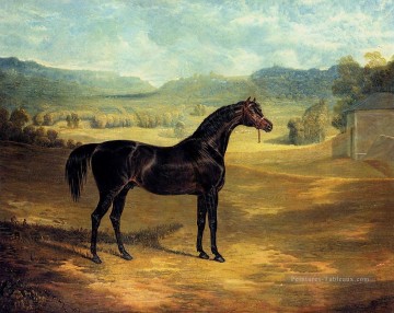 La baie Stallion Jack Spigot Hareng Snr John Frederick Cheval Peinture à l'huile